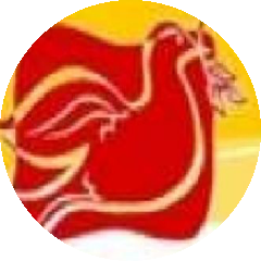 NAOMI rooster logo